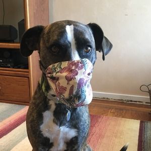 Meet your Posher, Sue